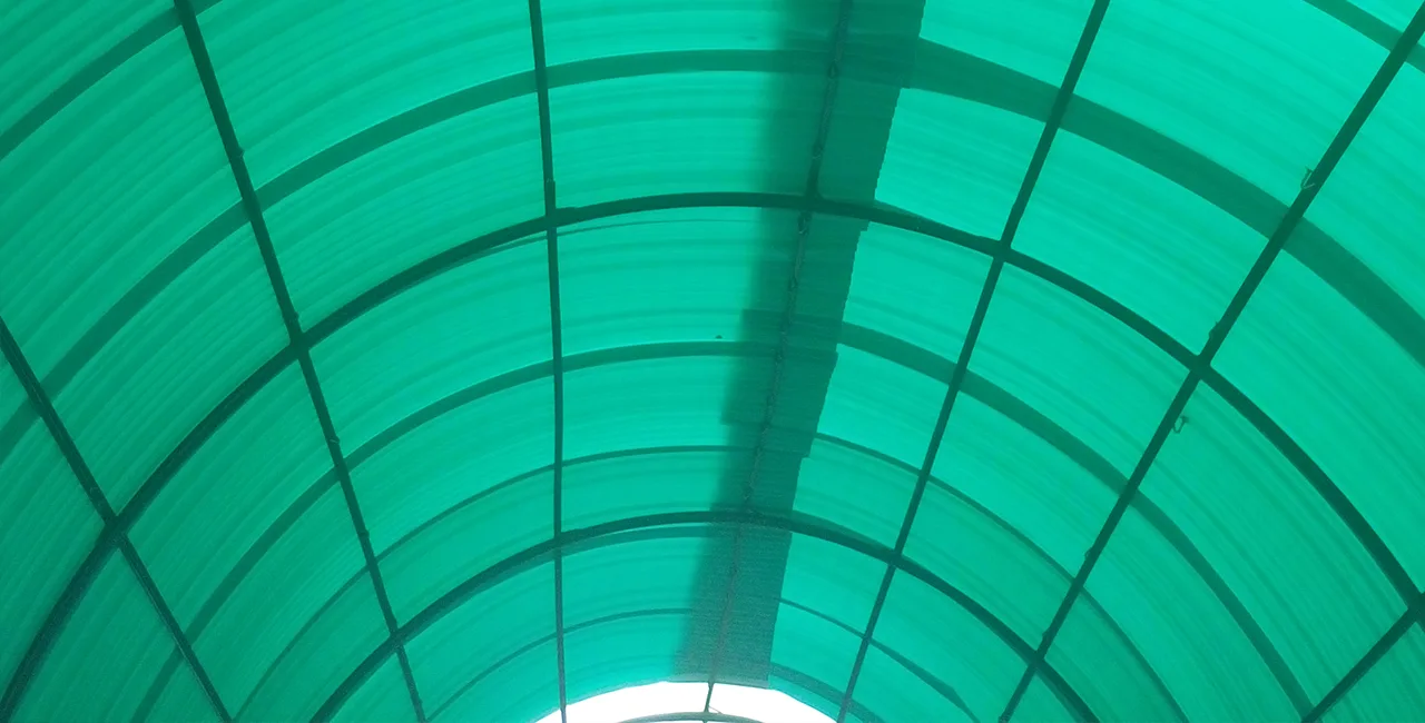 polycarbonate sheet